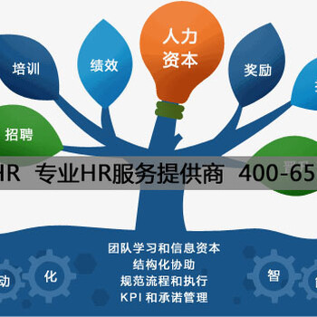 人力资源系统与人力资源服务 数字化时代的协同演进